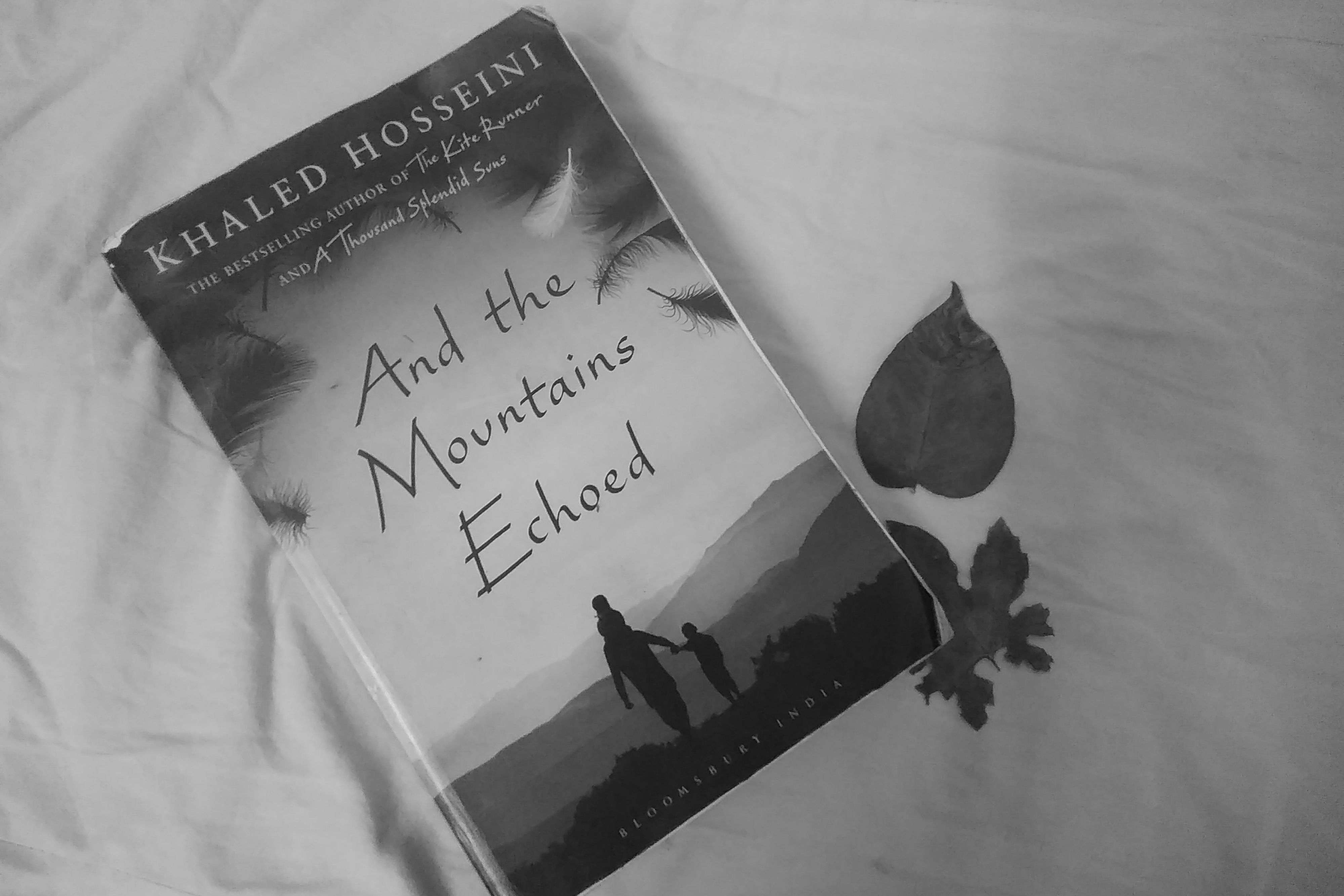 The third book of Khaled Hosseini called 'And The Mountains Echoed' placed on a table cloth amidst aesthetic looking dried leaves.